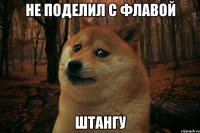 не поделил с флавой штангу