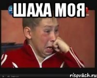 ШАХА МОЯ 