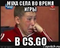 Муха села во время игры в CS.GO