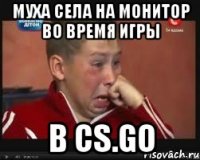 Муха села на монитор во время игры в CS.GO