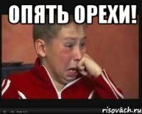 опять орехи! 