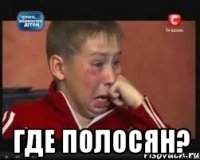  ГДЕ ПОЛОСЯН?