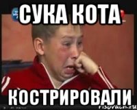 Сука кота Кострировали