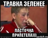 травка зеленее ласточка прилетела)))