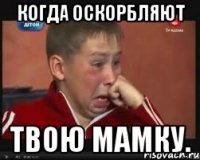 Когда оскорбляют твою мамку.