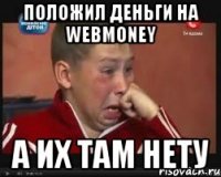положил деньги на WebMoney а их там нету