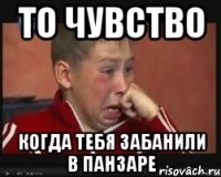 то чувство когда тебя забанили в панзаре