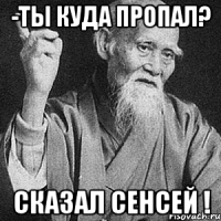 -Ты куда пропал? сказал Сенсей !