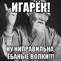 Игарёк! Ну ниправильна, ёбаные волки!!!