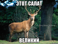 ЭТОТ САЛАТ ВЕЛИКИЙ