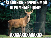 -Вероника, хочешь мой огромный член? -АХАХАХАХАХАХАХ