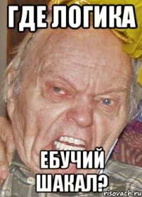 где логика ебучий шакал?