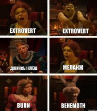 Extrovert Джинсы Клёш Burn Extrovert Меланж Behemoth