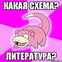 какая схема? литература?