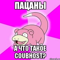 Пацаны А что такое coubhost?