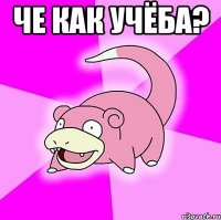 Че как учёба? 