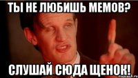 ты не любишь мемов? слушай сюда щенок!