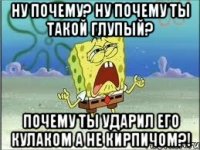 Ну почему? ну почему ты такой глупый? почему ты ударил его кулаком а не кирпичом?!