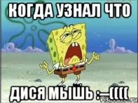 когда узнал что дися мышь :--((((