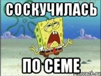 соскучилась по семе