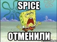 SPICE ОТМЕНИЛИ