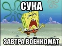 Сука завтра военкомат