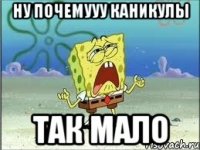 Ну почемууу каникулы так мало