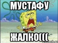 Мустафу Жалко(((