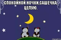 Спокойной ночки,Сашечка. Целую. 