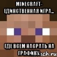 Minecraft- единственная игра... ГДЕ ВСЕМ НАСРАТЬ НА ГРАФИКУ.