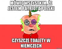 Mówię wszystkim, że jestem patriotą Polski Czyszczę toalety w Niemczech