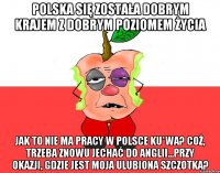 Polska się została dobrym krajem z dobrym poziomem życia Jak to nie ma pracy w Polsce ku*wa? Coż, trzeba znowu jechać do Anglii...przy okazji, gdzie jest moja ulubiona szczotka?