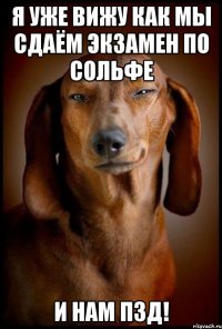 Я уже вижу как мы сдаём экзамен по сольфе И нам пзд!