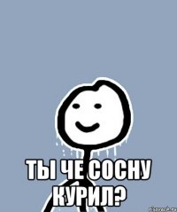  ТЫ ЧЕ СОСНУ КУРИЛ?