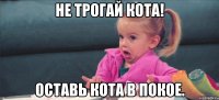 Не трогай кота! Оставь кота в покое.