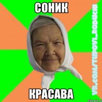 Соник красава