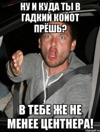 НУ и куда ты в гадкий койот прёшь? в тебе же не менее центнера!