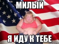 милый я иду к тебе