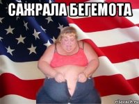 сажрала бегемота 