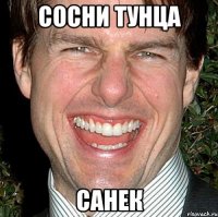 Сосни тунца Санек