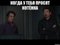 Когда у тебя просят котёнка 