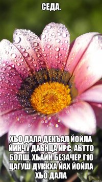 Седа, хьо Дала декъал йойла йинчу даьнца Ирс, аьтто болш, хьайн безачер г1о цагуш дуккха йах йойла хьо Дала