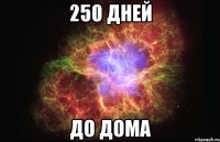 250 дней до дома