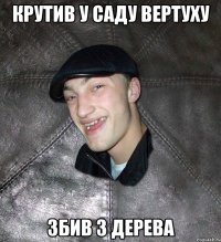 крутив у саду вертуху збив 3 дерева