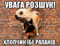 Увага розшук! Хлопчик їбе рапанів.