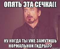 опять эта сечка(( ну когда ты уже замутишь нормальной гидры??