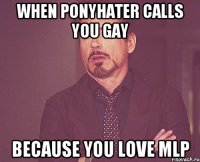 When ponyhater calls you gay Because you love MLP