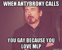 When antybrony calls You gay Because you love MLP