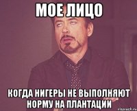 мое лицо когда нигеры не выполняют норму на плантации