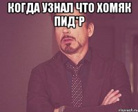 Когда узнал что Хомяк пид*р 